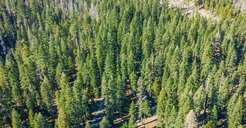6139 41 Mile Stone Rd #27, Unit 27, Kyburz, CA 95720 Photo