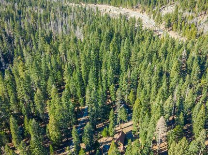 6139 41 Mile Stone Rd #27, Unit 27, Kyburz, CA 95720 Photo