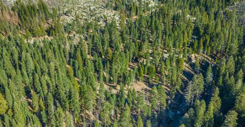6139 41 Mile Stone Rd #27, Unit 27, Kyburz, CA 95720 Photo