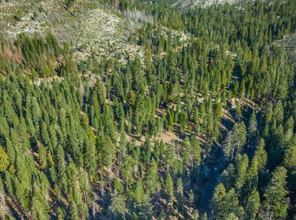 6139 41 Mile Stone Rd #27, Unit 27, Kyburz, CA 95720 Photo
