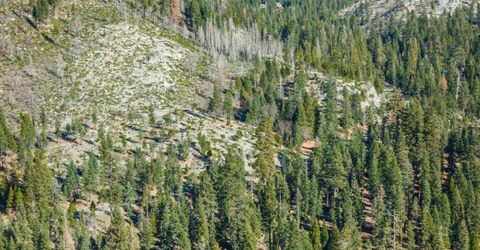 6139 41 Mile Stone Rd #27, Unit 27, Kyburz, CA 95720 Photo