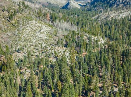 6139 41 Mile Stone Rd #27, Unit 27, Kyburz, CA 95720 Photo