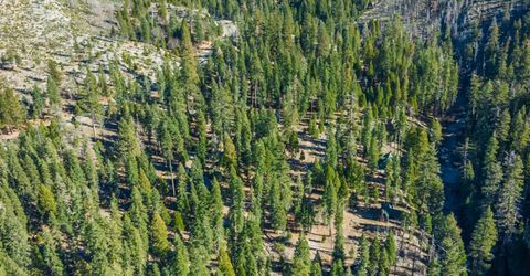 6139 41 Mile Stone Rd #27, Unit 27, Kyburz, CA 95720 Photo