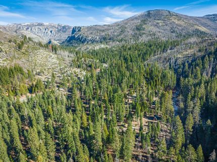 6139 41 Mile Stone Rd #27, Unit 27, Kyburz, CA 95720 Photo