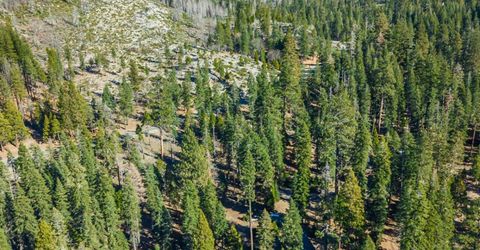 6139 41 Mile Stone Rd #27, Unit 27, Kyburz, CA 95720 Photo