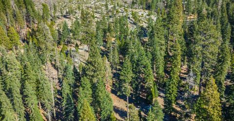6139 41 Mile Stone Rd #27, Unit 27, Kyburz, CA 95720 Photo