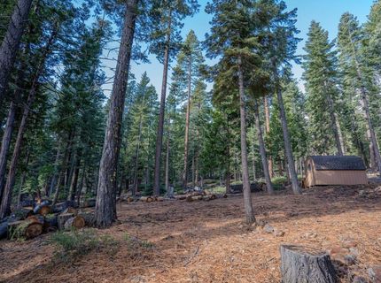609 Tallac Street, Carnelian Bay, CA 96140 Photo