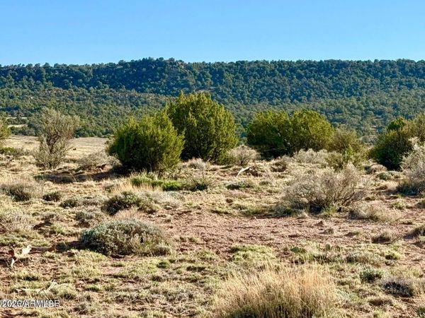85 Co Rd 8500 Acres, Unit -, Concho, AZ 85924