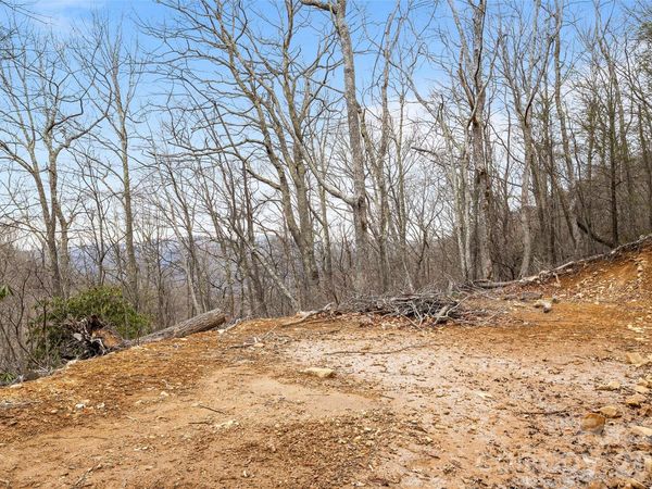 1480 Odalu Trail , Maggie Valley, NC 28751