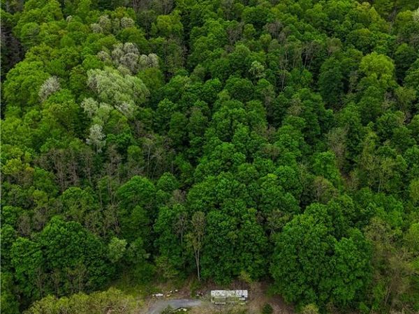 1937 State Route 245 , Naples, NY 14513