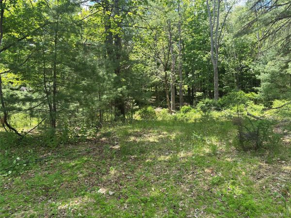 400 Red Hill Road , Phillipsport, NY 12790