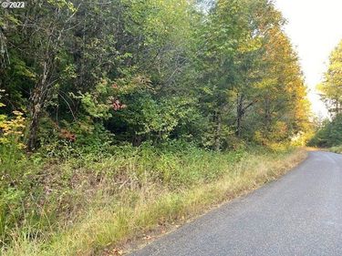 McGowan Creek, Springfield, OR 97478