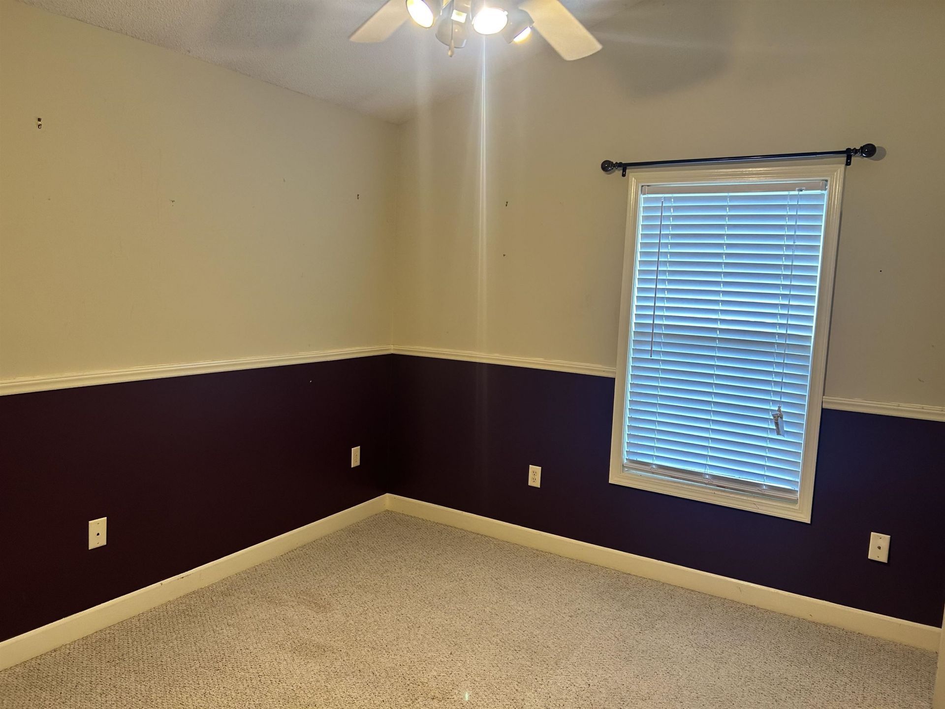 136 Ashworth Dr. Photo 13