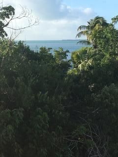 1155 Thatch Lane, Cudjoe, FL 33042 Photo