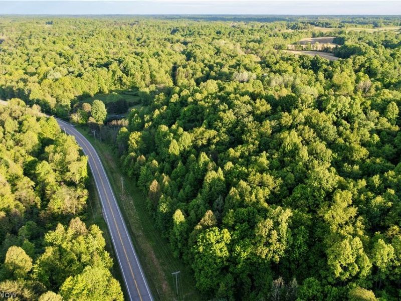 State Route 550, Amesville, OH 45711 Photo 8