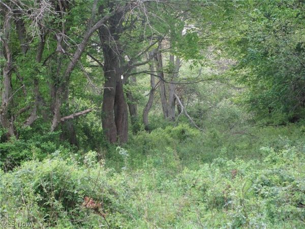 Daniels Avenue , Conneaut, OH 44030