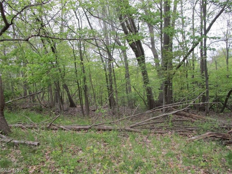Daniels Avenue , Conneaut, OH 44030 Photo 12
