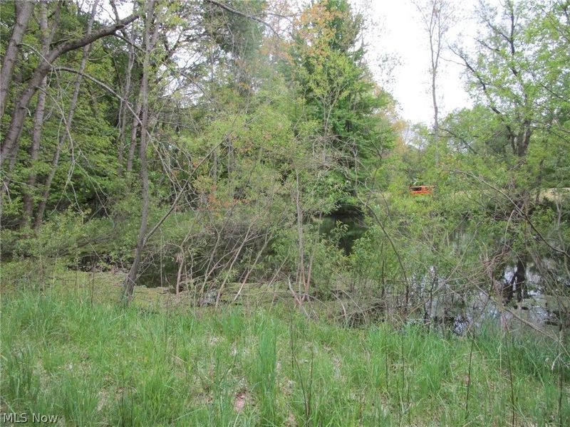 Daniels Avenue , Conneaut, OH 44030 Photo 13