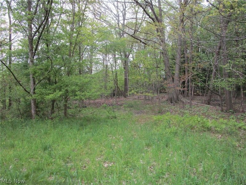 Daniels Avenue , Conneaut, OH 44030 Photo 14
