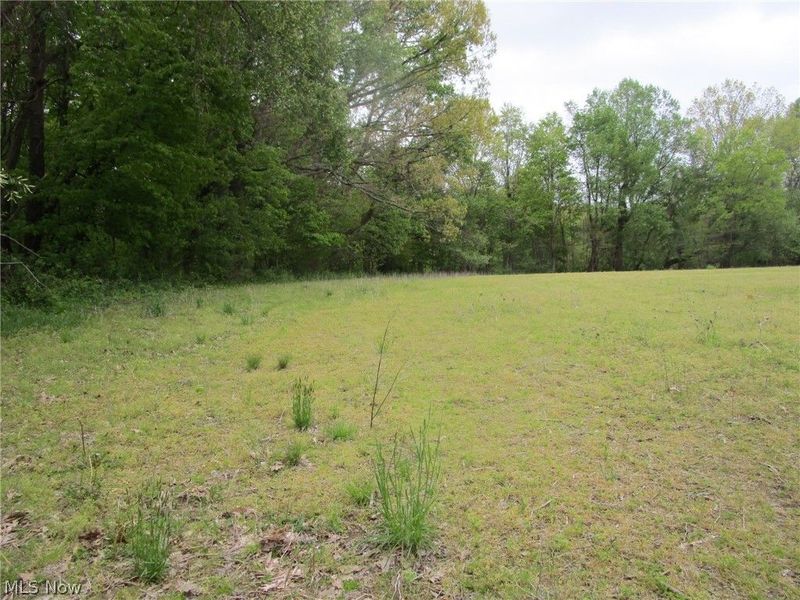 Daniels Avenue , Conneaut, OH 44030 Photo 18