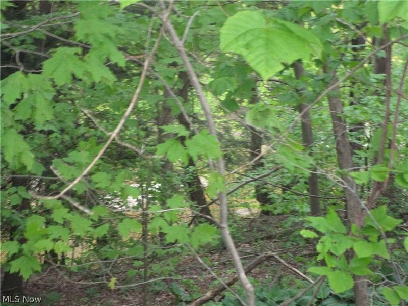 Daniels Avenue , Conneaut, OH 44030 Photo 3