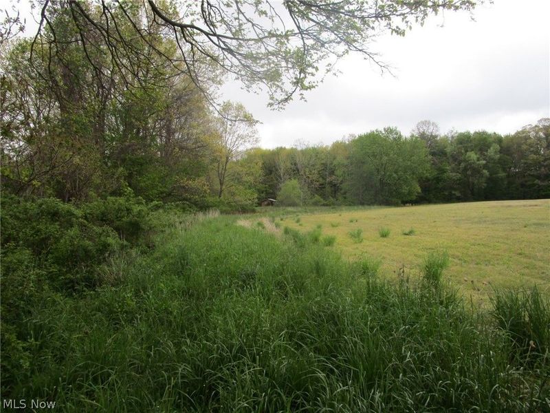 Daniels Avenue , Conneaut, OH 44030 Photo 5
