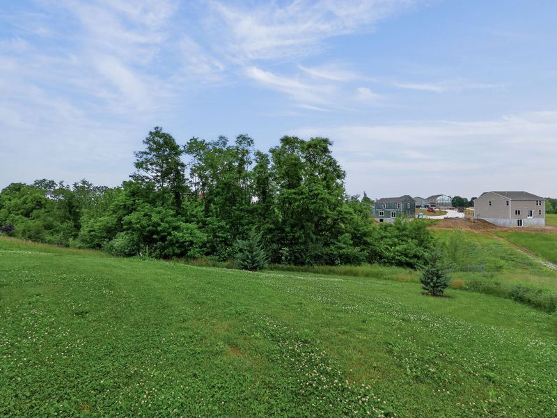 1622 Cherry Blossom Drive, Independence, KY 41051 Photo 30
