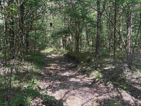 TBD Bell Foley Road, Poughkeepsie, AR 72569
