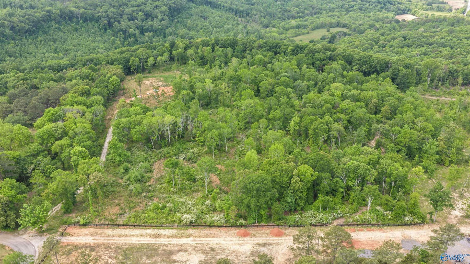 17 Acres Ryan Loop Road, Baileyton, AL 35019 Main Photo