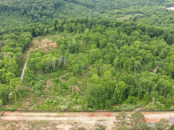 17 Acres Ryan Loop Road, Baileyton, AL 35019