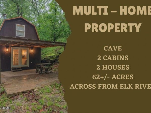 208 Minnow Springs Avenue , Noel, MO 64854