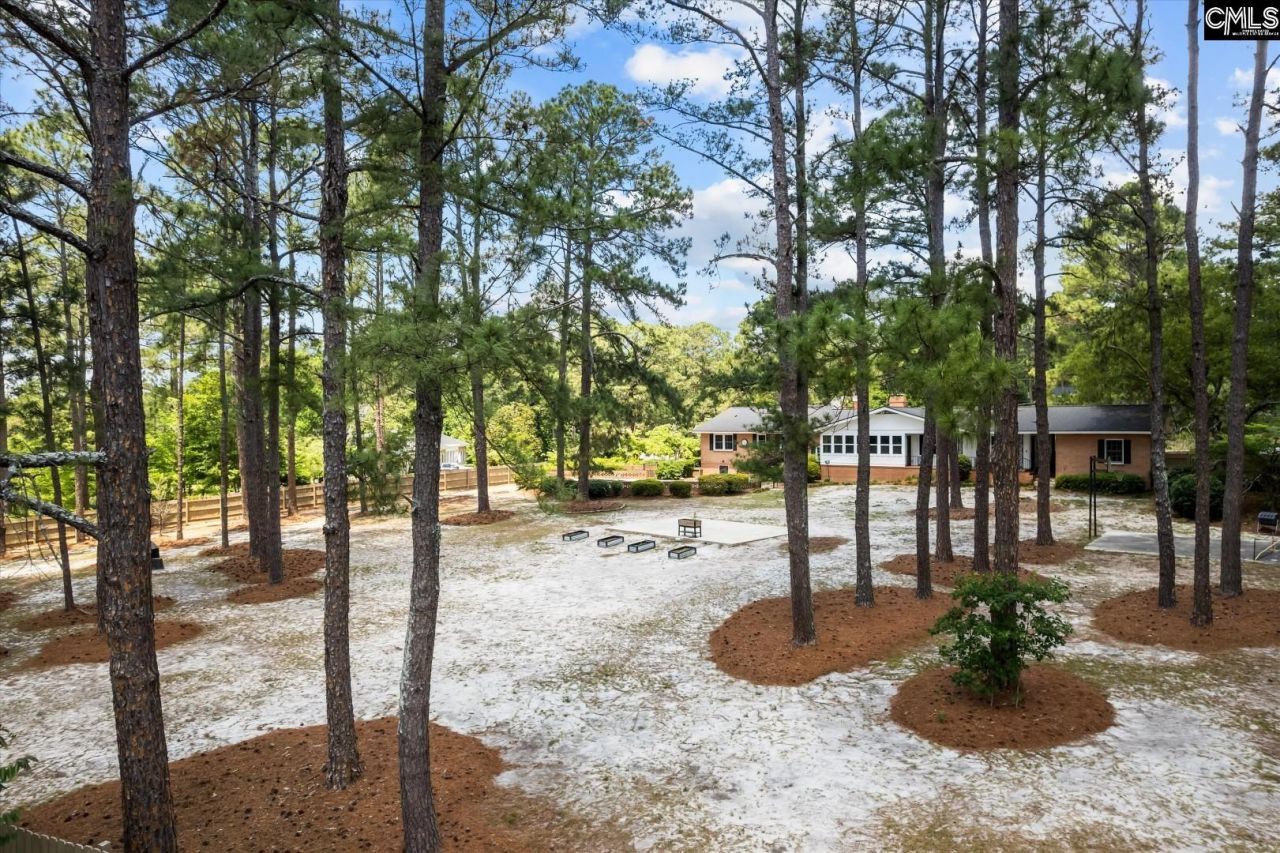 18 Sunturf Circle Photo 62