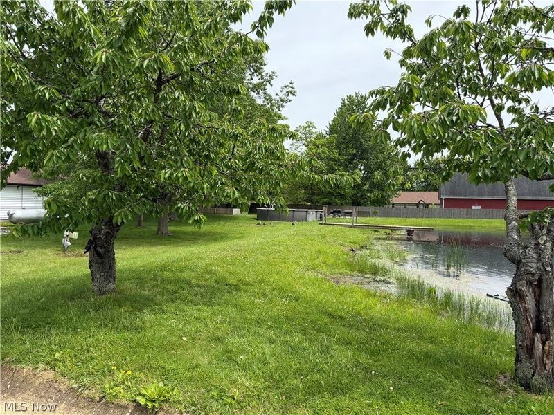 12034 Root Road , Columbia Station, OH 44028 Photo 30