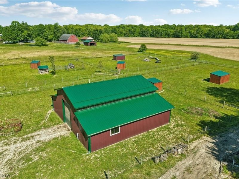 12034 Root Road, Columbia Station, OH 44028 Photo 39