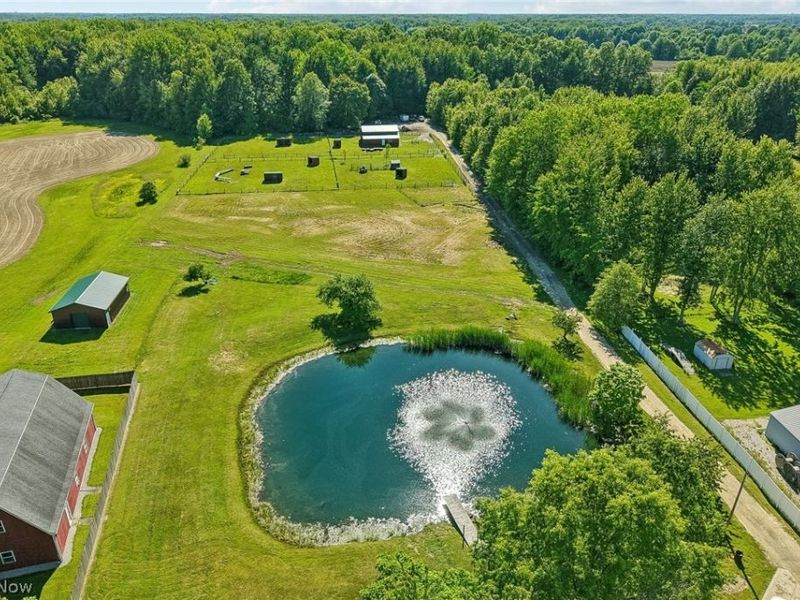 12034 Root Road, Columbia Station, OH 44028 Photo 42