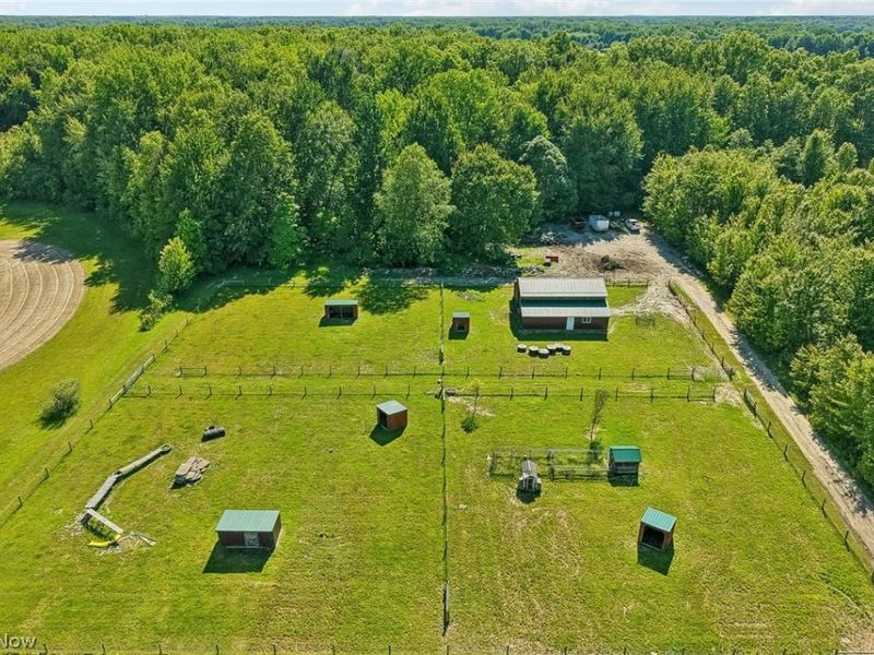 12034 Root Road, Columbia Station, OH 44028 Photo 46