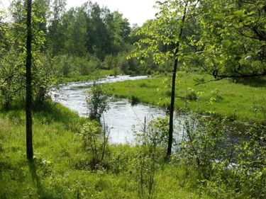 10005 Rice Road , Brook Park, MN 55007