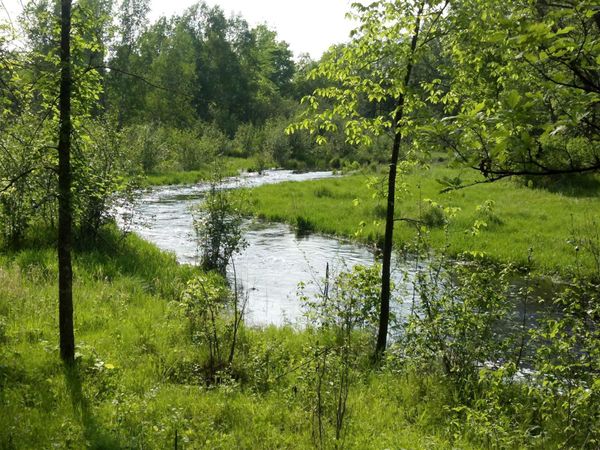 10005 Rice Road , Brook Park, MN 55007