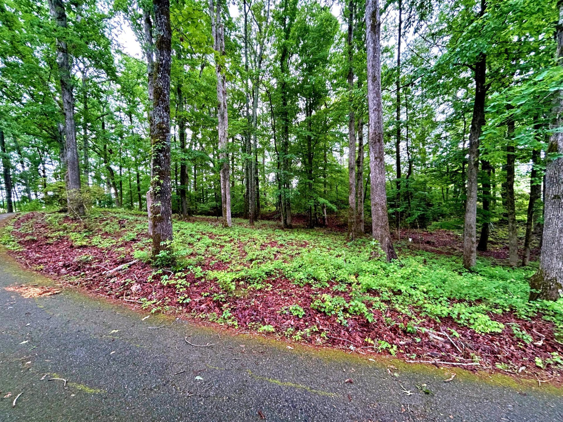 2221 W Deadfall Road Photo 56