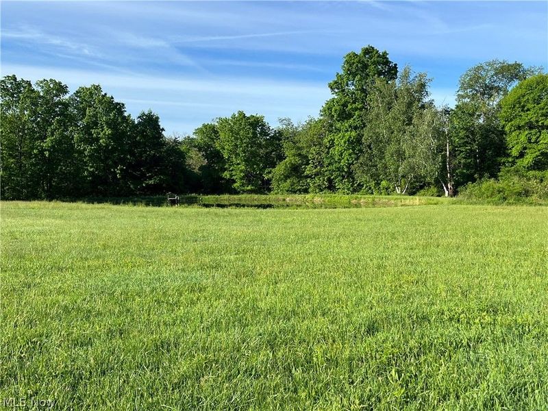 VL S Ridge Road , Geneva, OH 44041 Photo 14