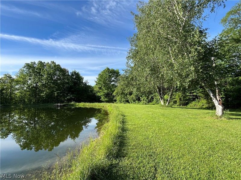 VL S Ridge Road , Geneva, OH 44041 Photo 18