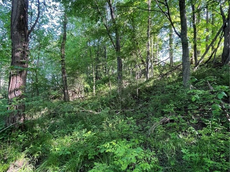 VL S Ridge Road , Geneva, OH 44041 Photo 23