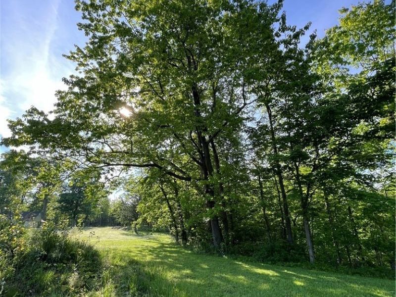 VL S Ridge Road , Geneva, OH 44041 Photo 26