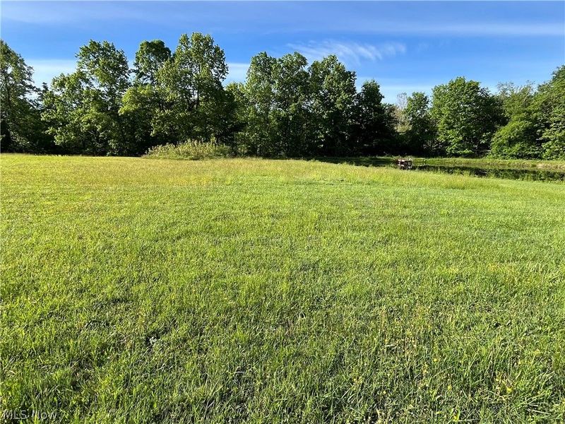VL S Ridge Road , Geneva, OH 44041 Photo 29
