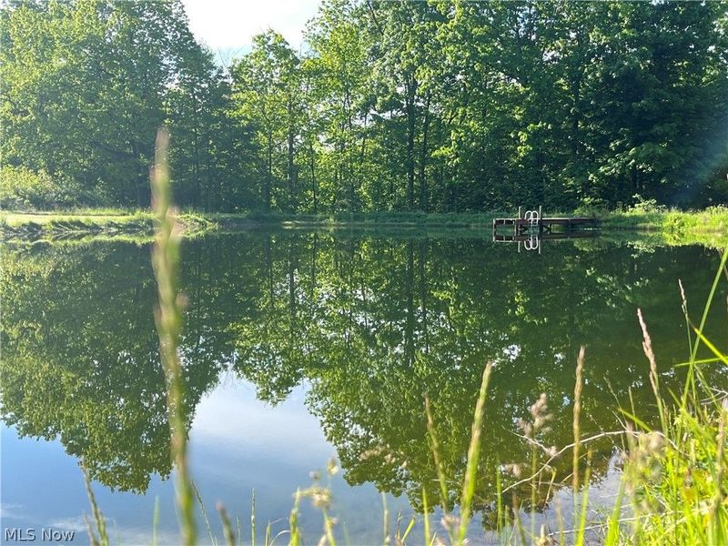 VL S Ridge Road , Geneva, OH 44041 Photo 5