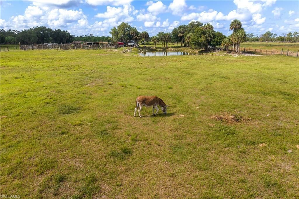 3501 Everhigh Acres Rd , Clewiston, FL 33440 Photo