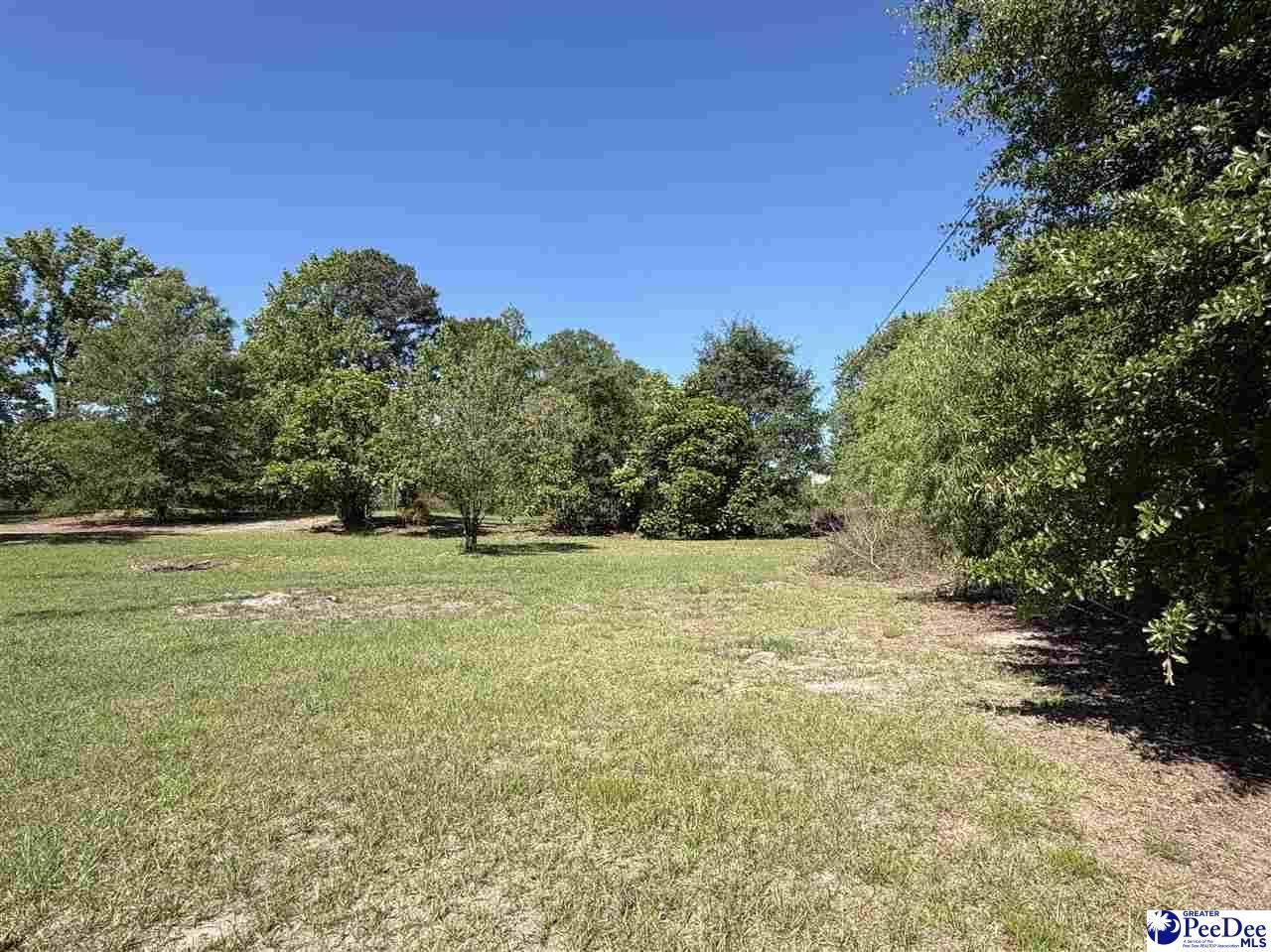 1719 Parkfield Rd Photo 11