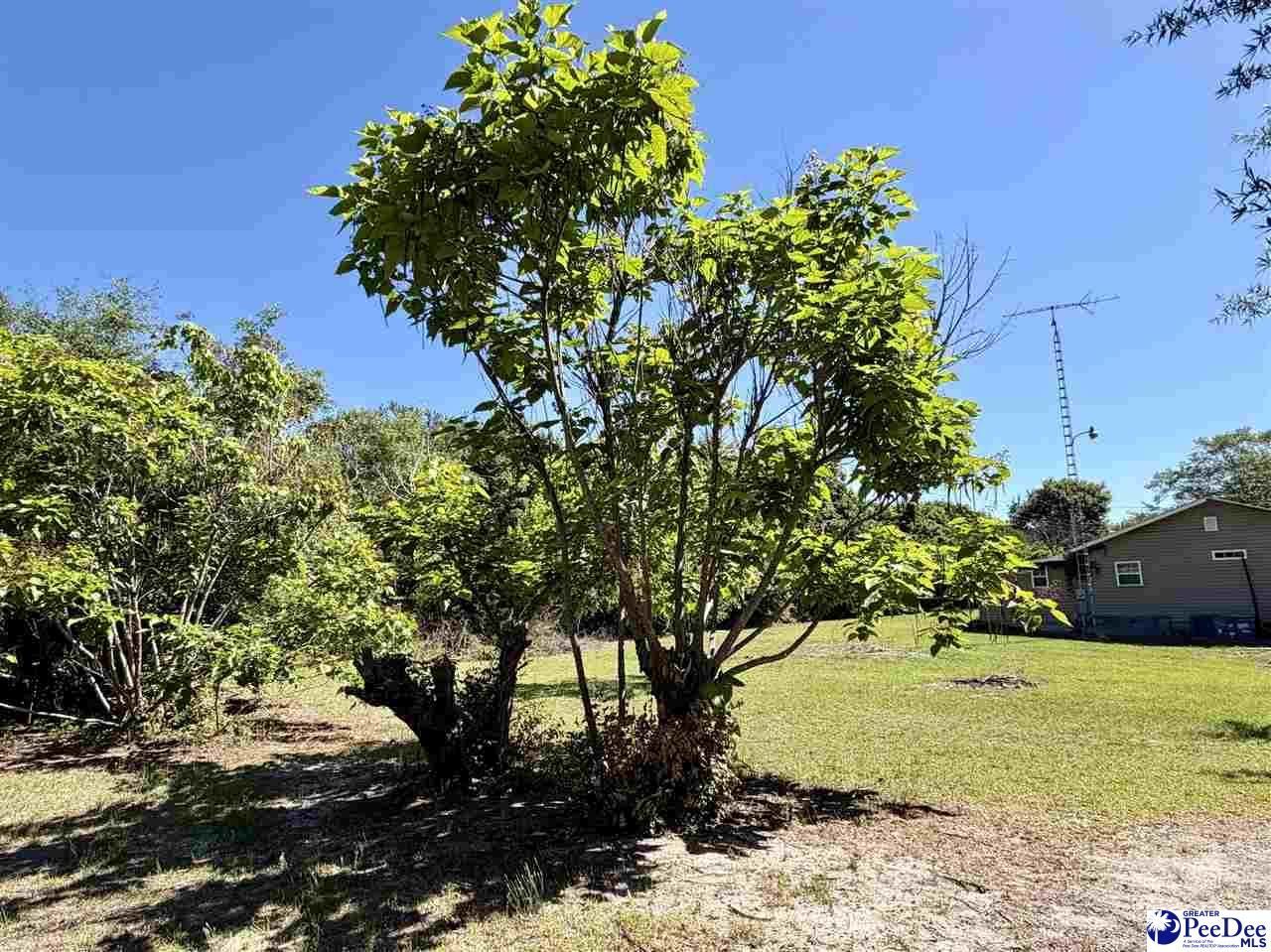 1719 Parkfield Rd Photo 16