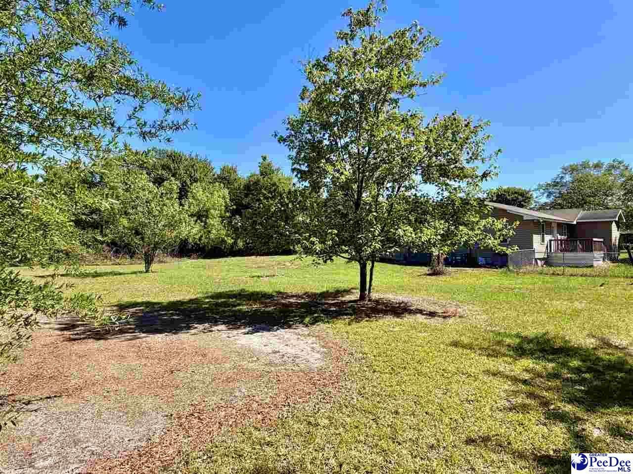 1719 Parkfield Rd Photo 22