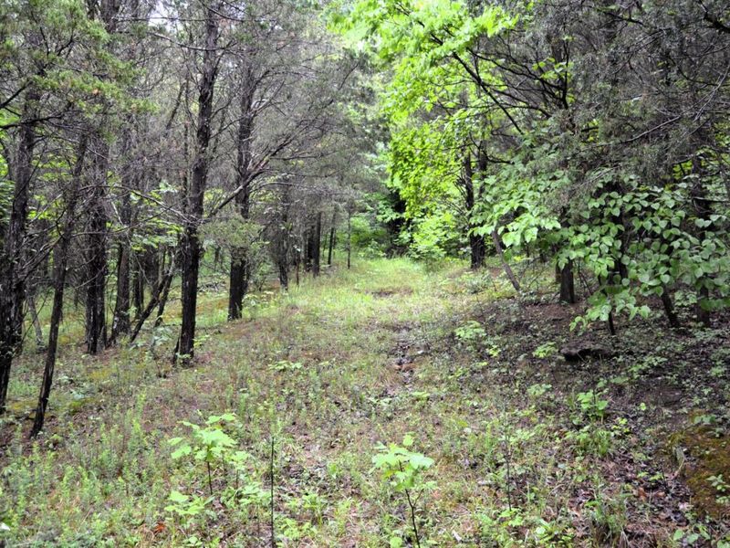 16200 US 52, Monroe Township, OH 45144 Photo 14